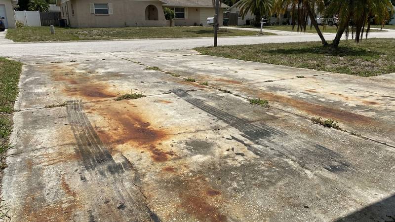 Example of driveway pressure washing in Palm Harbor, FL — before soft washing. Paver driveway - stain lift + curb + sidewalk included.
