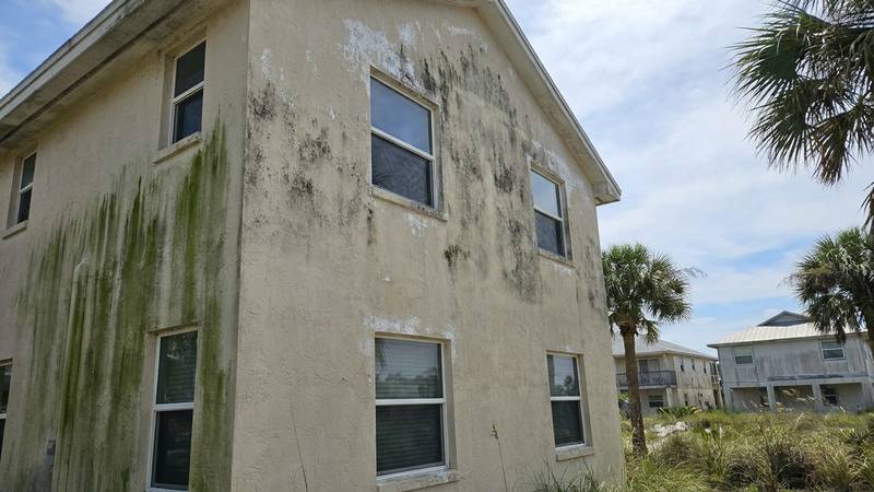 Example of house washing in Tarpon Springs, FL — before soft washing. Vinyl siding: coastal salt-air buildup stripped in a single soft wash visit.