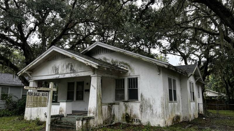 Example of house washing in Tampa, FL — before soft washing. South Tampa stucco - oak-canopy mold cleared for pre-listing refresh.