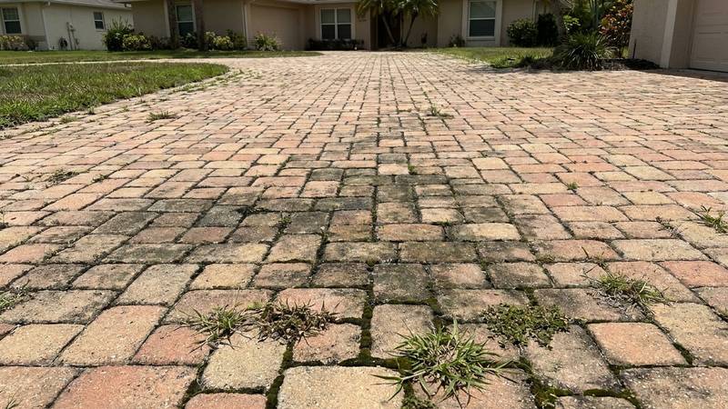 Example of paver cleaning & sealing in Tampa, FL — before soft washing. Paver driveway - deep clean + UV-resistant wet-look seal applied.
