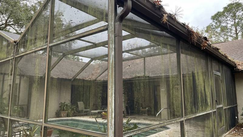 Example of pool cage cleaning in Clearwater, FL — before soft washing. Large lanai + cage gutter flush. Oxidation cleared, screens restored.