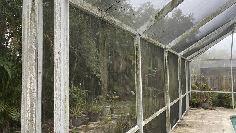 Example of pool cage cleaning in Palm Harbor, FL — before soft washing. Aluminum frame + screen panels - salt + mildew buildup from Gulf air.