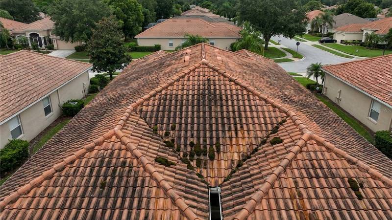 Example of roof cleaning in Palm Harbor, FL — before soft washing. Clay barrel tile: heavy black algae removed with a zero-foot-traffic soft wash.