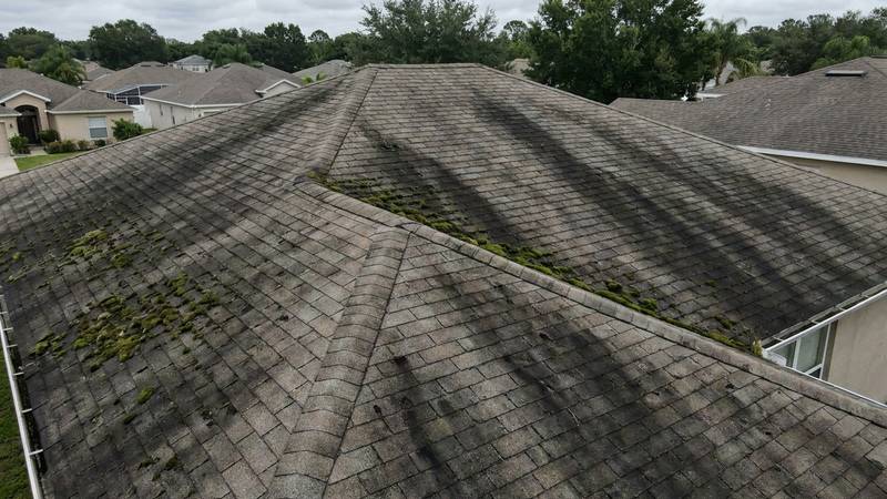 Example of roof cleaning in Holiday, FL — before soft washing. Asphalt shingle: heavy algae buildup is eliminated with a warranty-safe soft wash.