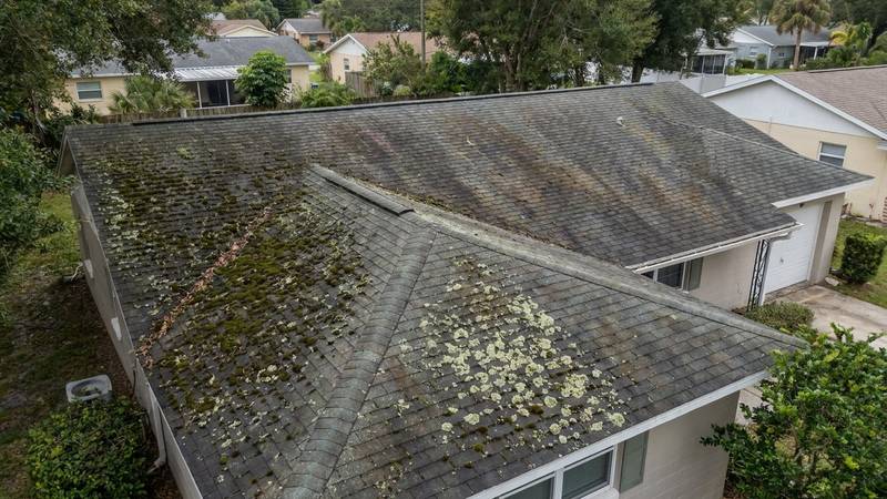 Example of roof cleaning in Tarpon Springs, FL — before soft washing. Metal roof - salt deposits + oxidation. pH-balanced soft wash.