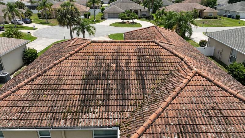 Example of roof cleaning in Largo, FL — before soft washing. Shingle - lichen + moss on north-facing slope. Warranty preserved.